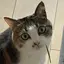 bubuのプロフィール画像
