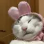 87のプロフィール画像