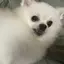 ベルのプロフィール画像
