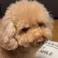 justのプロフィール画像