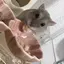 麗のプロフィール画像