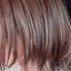 ASMのプロフィール画像