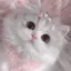 えりなのプロフィール画像