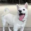 ゆいなのプロフィール画像