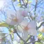 未来のプロフィール画像