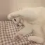 ゆゆのプロフィール画像