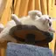ゆうきのプロフィール画像