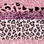 Rのプロフィール画像