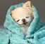みちゃんのプロフィール画像