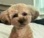 nattのプロフィール画像