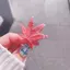 ものプロフィール画像