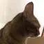 あまねのプロフィール画像