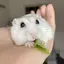 さおりのプロフィール画像