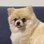 しきのプロフィール画像