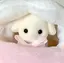 ♡k♡のプロフィール画像