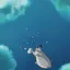 詩羽のプロフィール画像