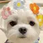 emiのプロフィール画像
