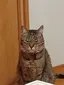 ももこのプロフィール画像