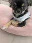 恵利のプロフィール画像