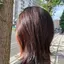 ふじはるのプロフィール画像