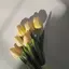 皐月のプロフィール画像