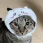 信子のプロフィール画像
