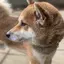 さとみのプロフィール画像