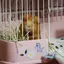 琉衣のプロフィール画像