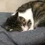 ゆきのプロフィール画像