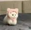 ラのプロフィール画像