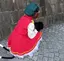 リサのプロフィール画像