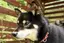 小鉄のプロフィール画像
