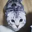 果那のプロフィール画像