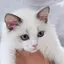 敬子のプロフィール画像