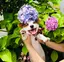 あさたろのプロフィール画像