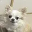 あやのプロフィール画像