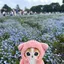 りなのプロフィール画像