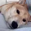 ゆーきのプロフィール画像