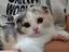 ゆうきのプロフィール画像