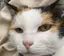 まゆのプロフィール画像
