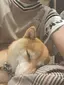 佳世のプロフィール画像