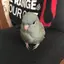 容子のプロフィール画像