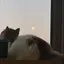 すみのプロフィール画像