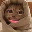 ぴーのプロフィール画像