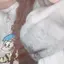 栞のプロフィール画像
