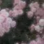 めめのプロフィール画像