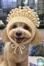 ようこのプロフィール画像