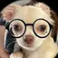 mのプロフィール画像