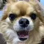 KINUのプロフィール画像