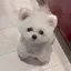 まかろんのプロフィール画像